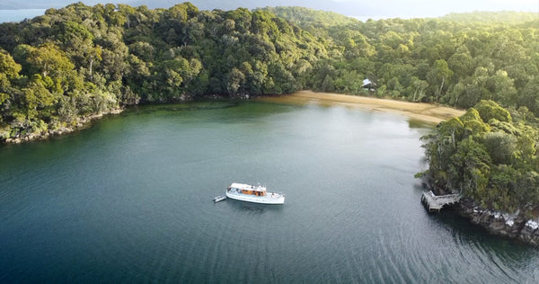 Wairangi - Miller & Tunnage 1934 - Now in Survey