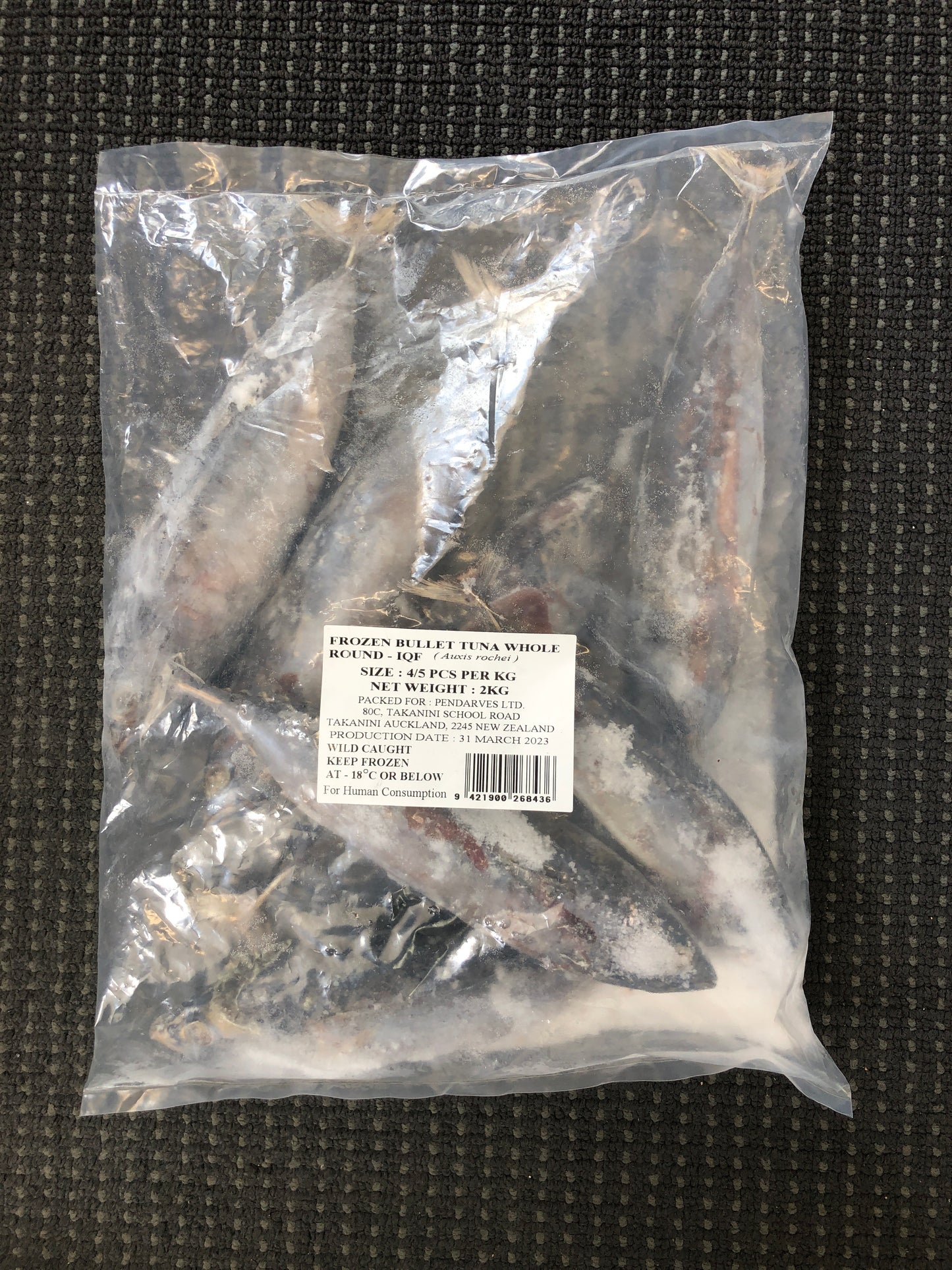 Bait - Frozen Bullet Tuna Whole Round IQF 2kg