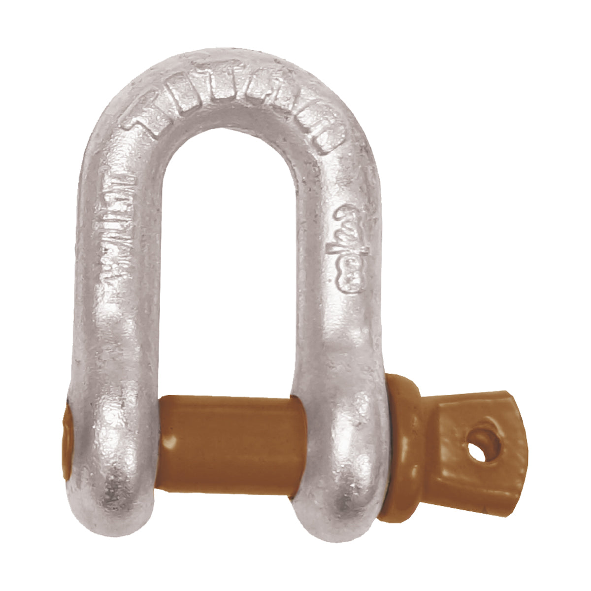 Titan Galvanised D Shackle