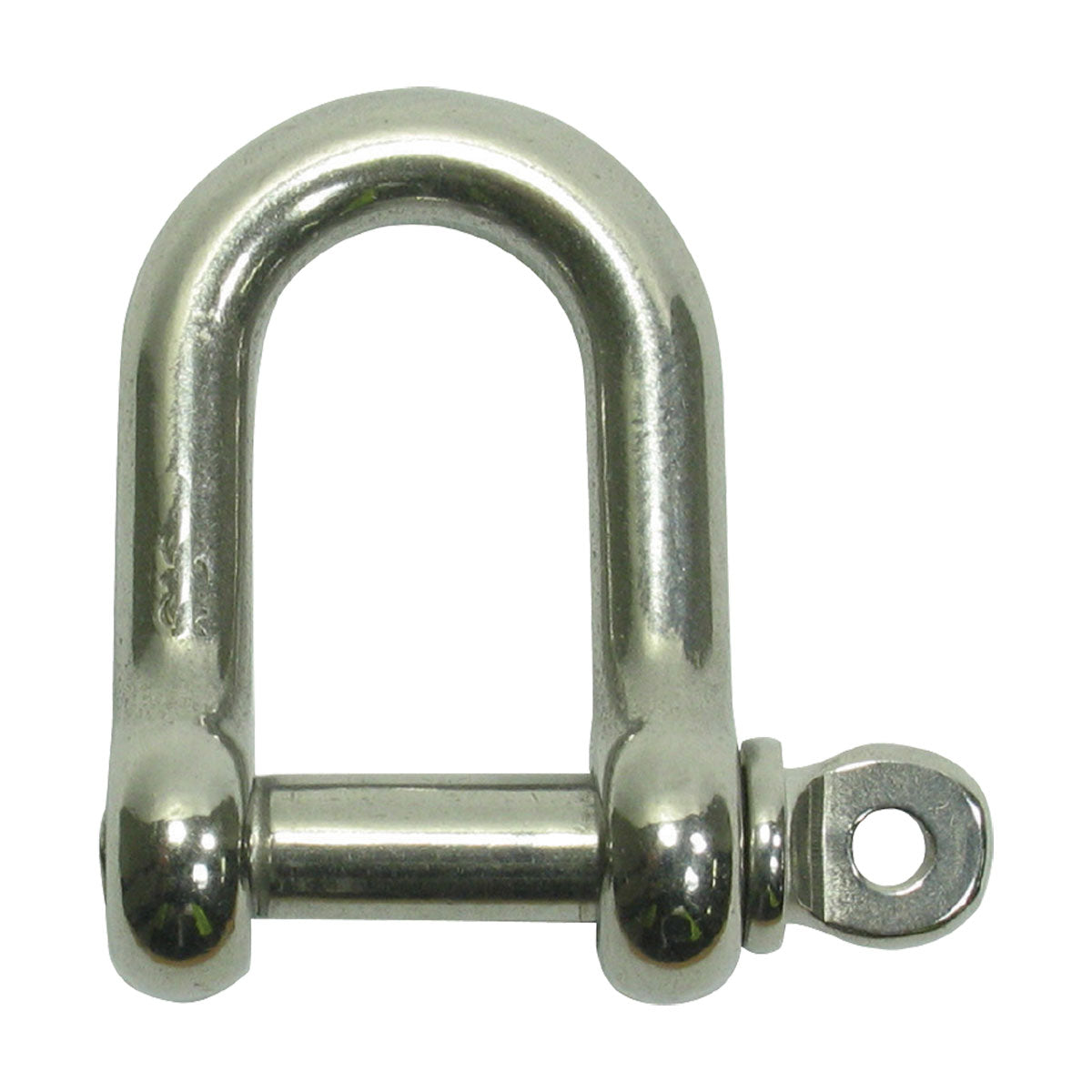 BLA S/S D Shackle