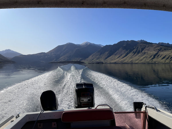 1993 Fi Glass Viscount - Factory Hardtop