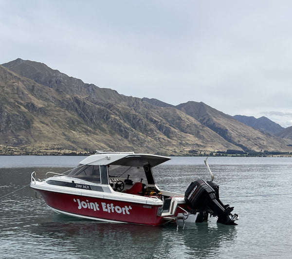 1993 Fi Glass Viscount - Factory Hardtop
