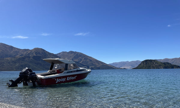 1993 Fi Glass Viscount - Factory Hardtop