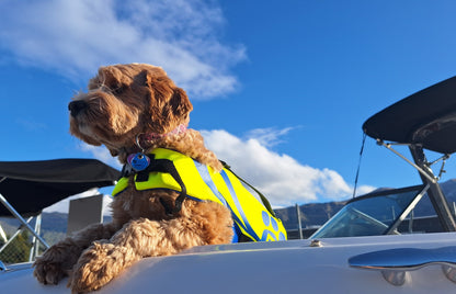 O’Brien Pet Neoprene Vest