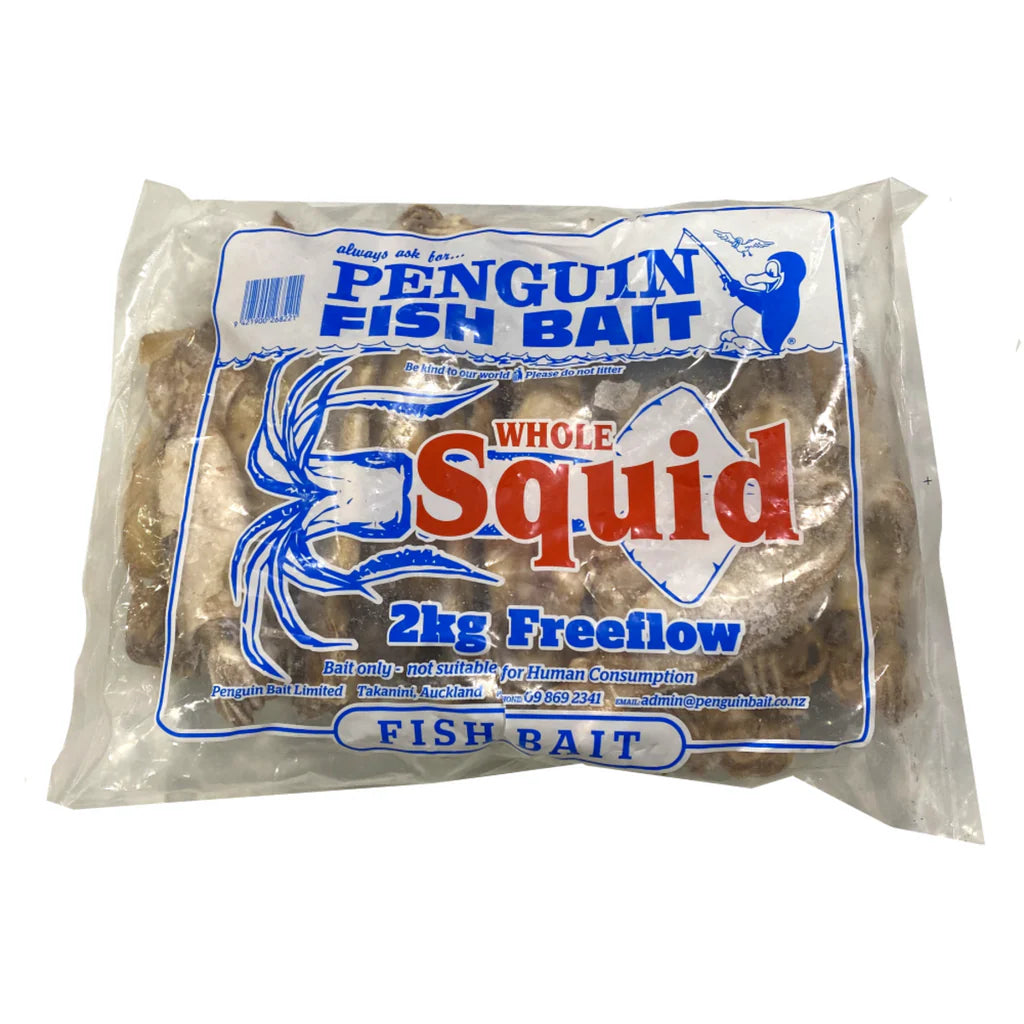 Bait - Whole Squid