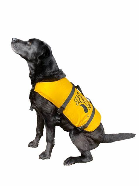 Splash pet vest