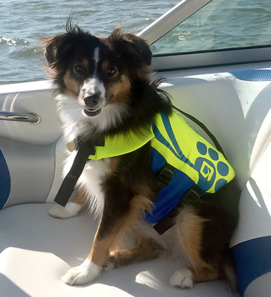 O’Brien Pet Neoprene Vest