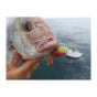 Mustad JH32833 Darter Jigheads